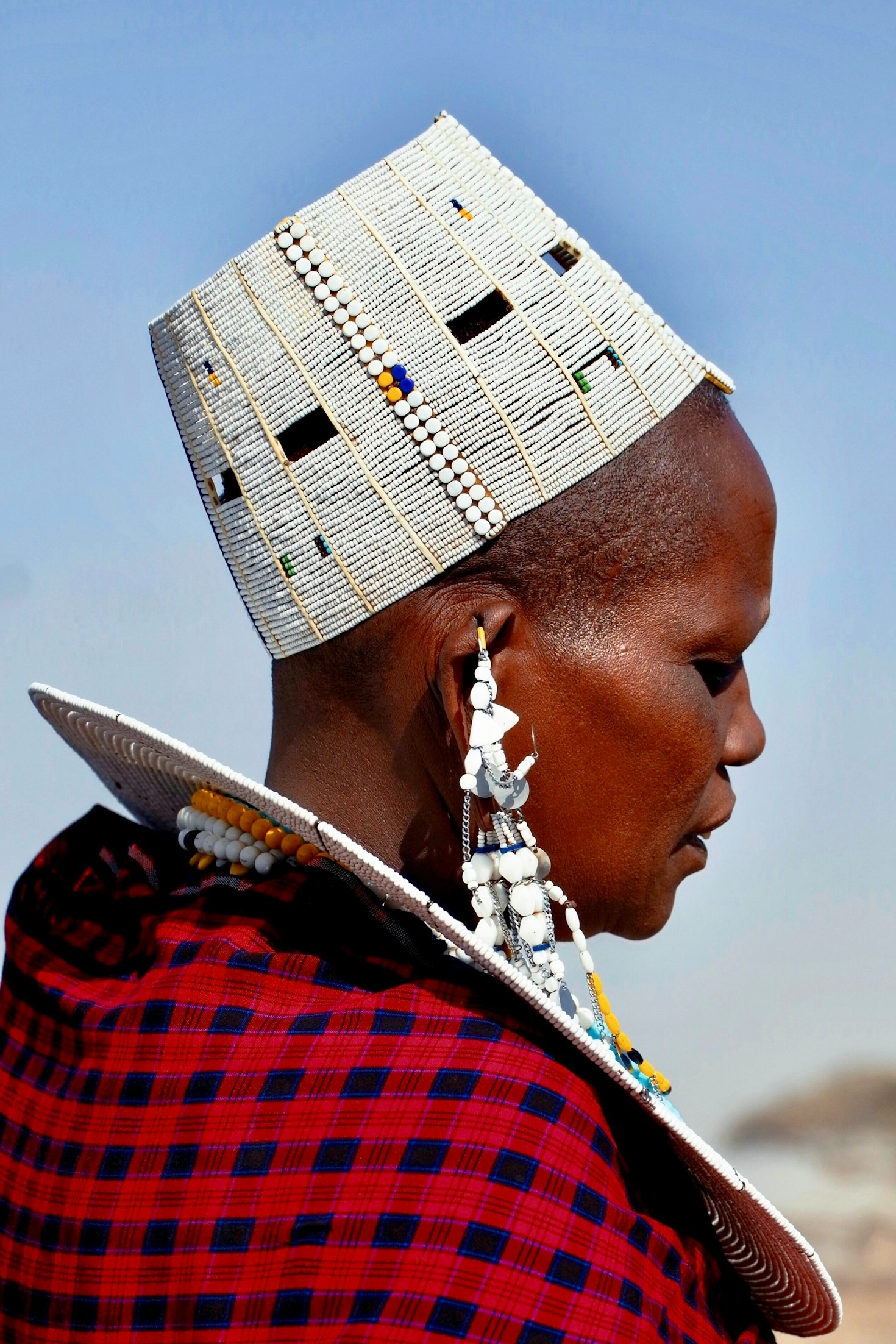 Le rôle des jeunes, du Continent à la Diaspora, dans la Renaissance Africaine